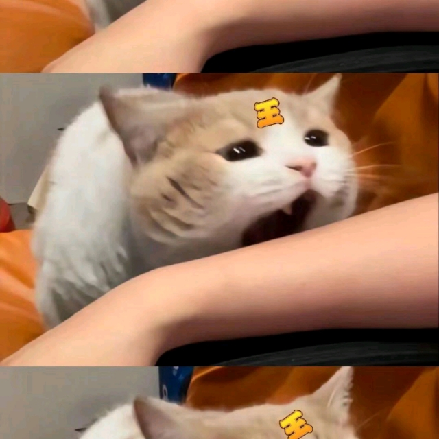 墨爾本市中心公寓招租!步行2分鐘到學校