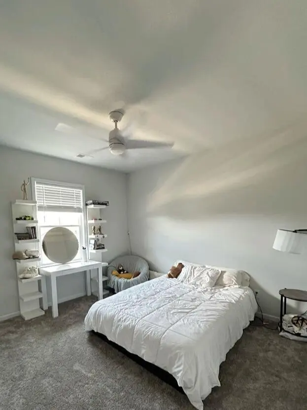 伯明罕找一位室友隨時可入住，預算低的來