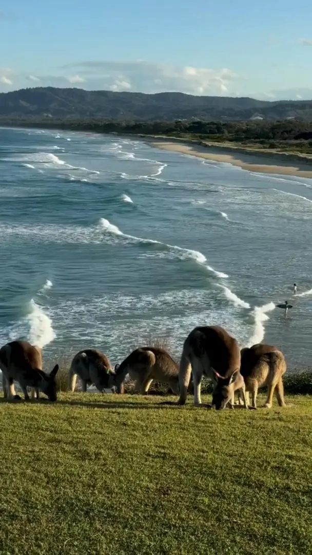 這一刻 心被治癒了！🥹