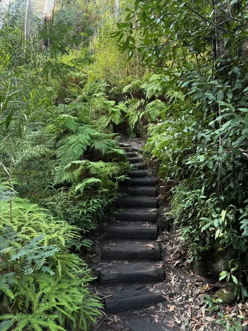 🇦🇺沒課的時候，都去哪徒步啊