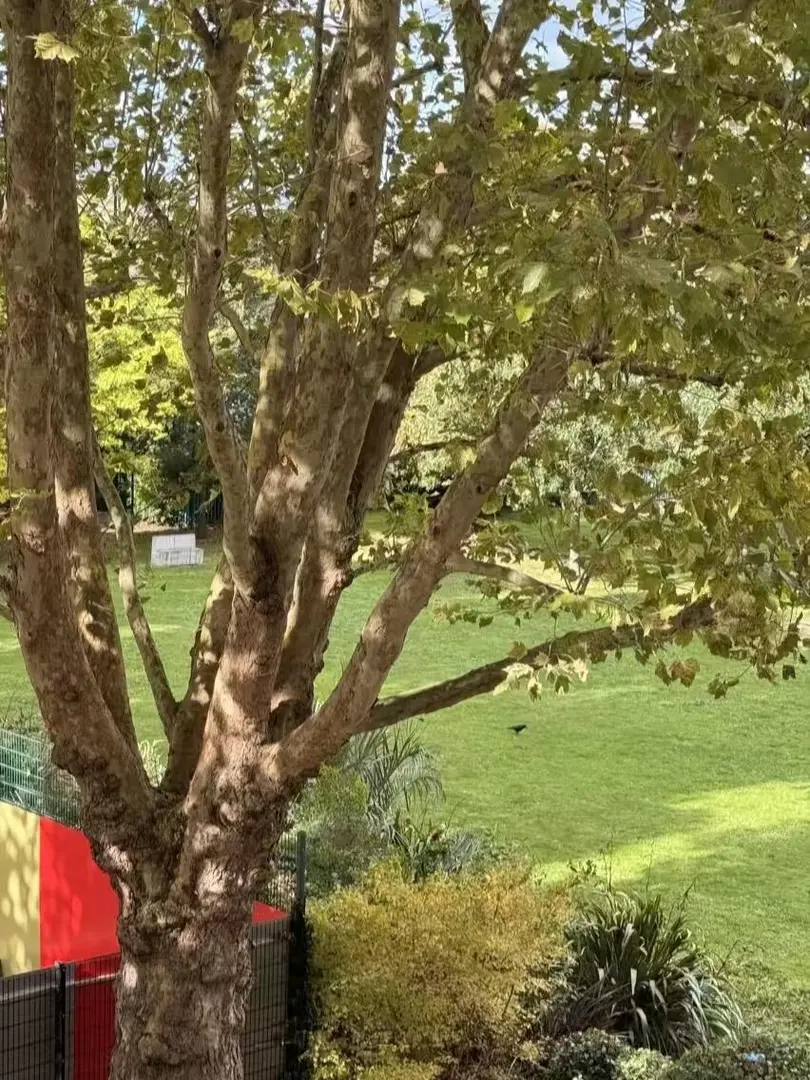 倫敦studio極限轉租｜房東直租可小🔪