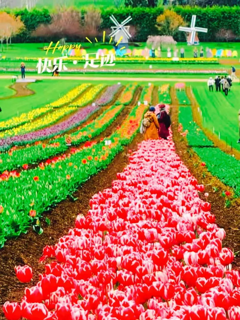 墨爾本的春天是彩色的！