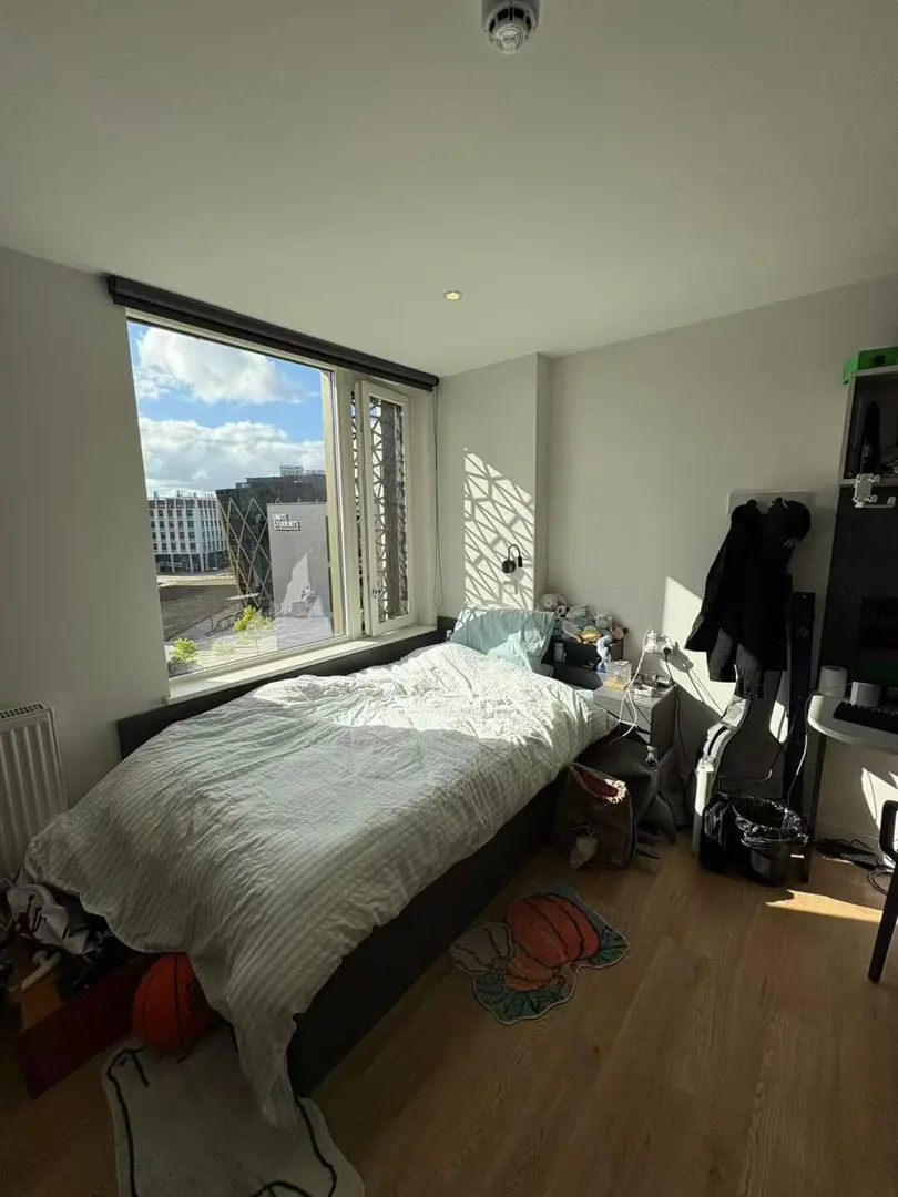 紐卡這間公寓大的有點過分了