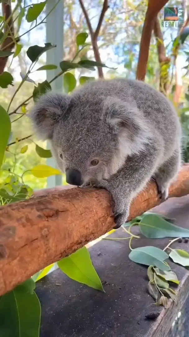 俺聞聞能吃嘛～～～