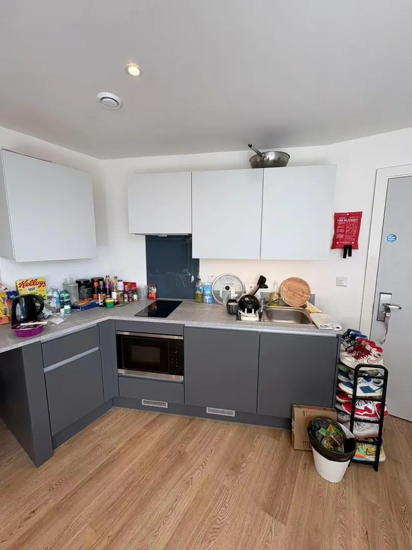 紐卡這間公寓大的有點過分了