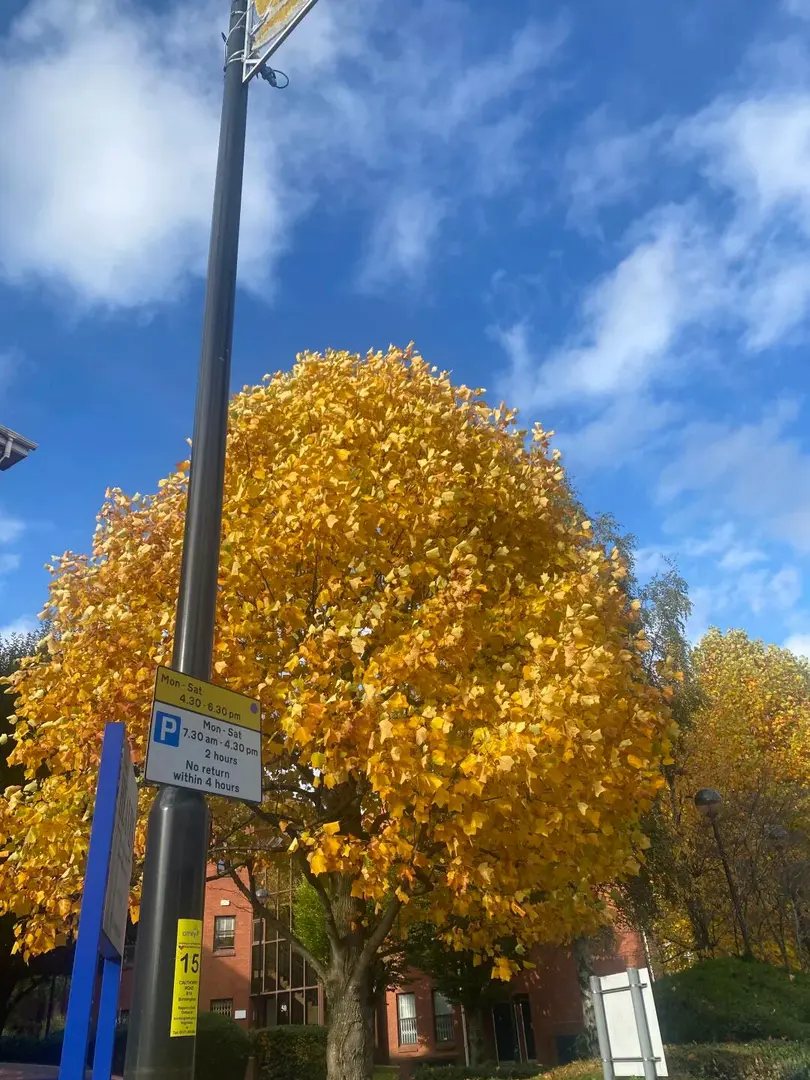 🇬🇧伯明罕大學的秋天好美呀