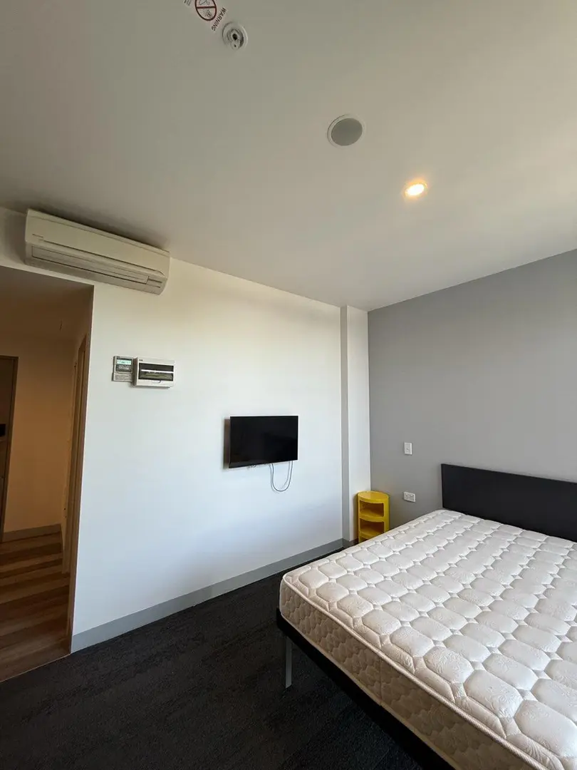 懂事的留學生已經開始卷26s1的宿舍了