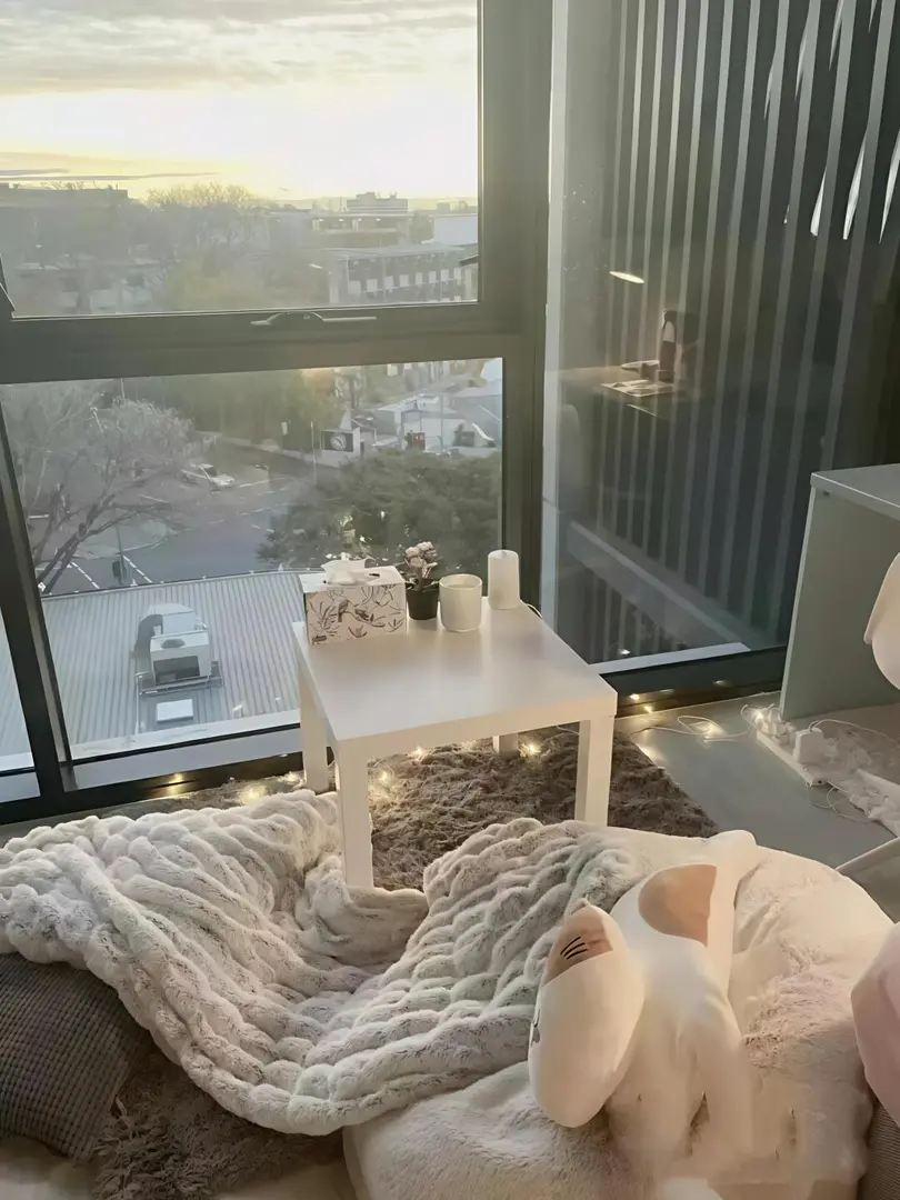 布里斯班全領包入住❗大落地窗❗直達uq