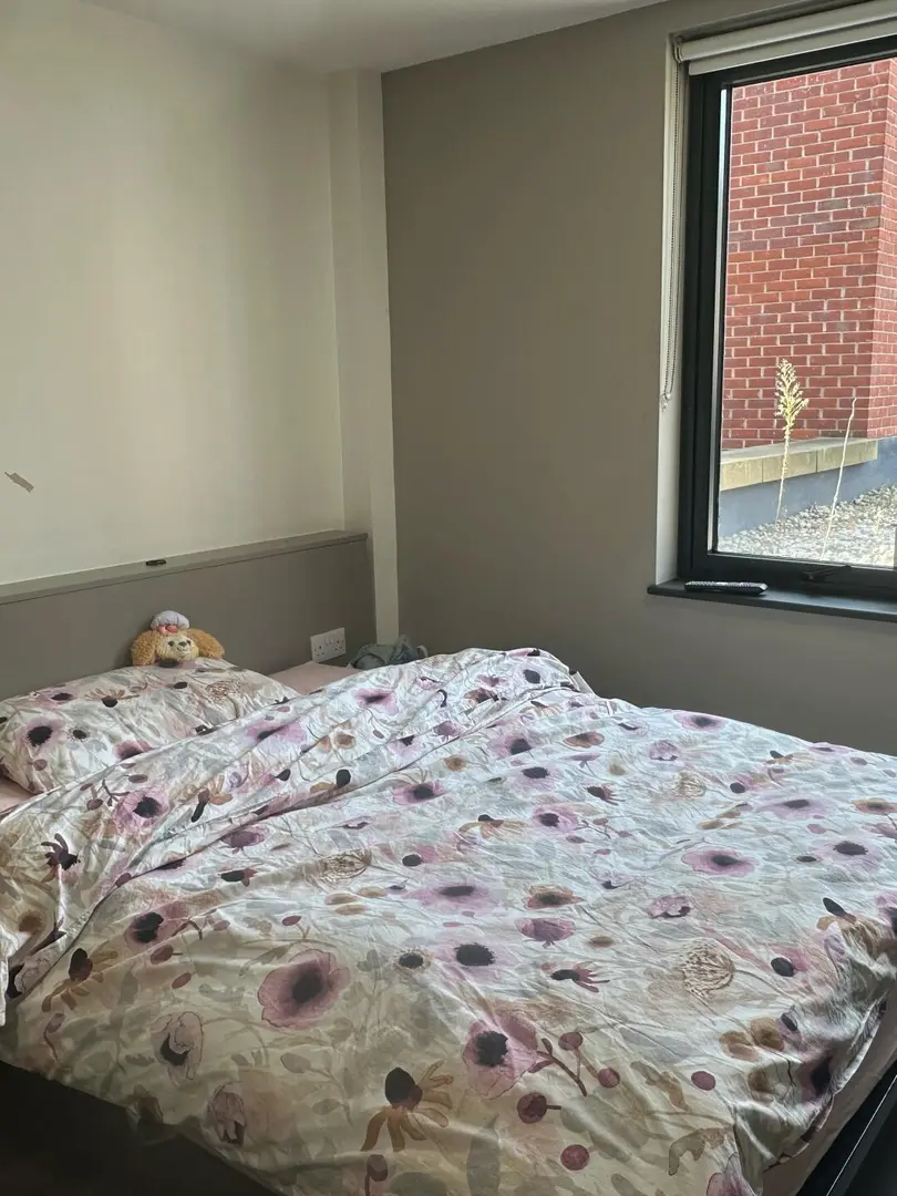 帶洗衣機+不用爬樓梯的大studio｜寶藏公寓