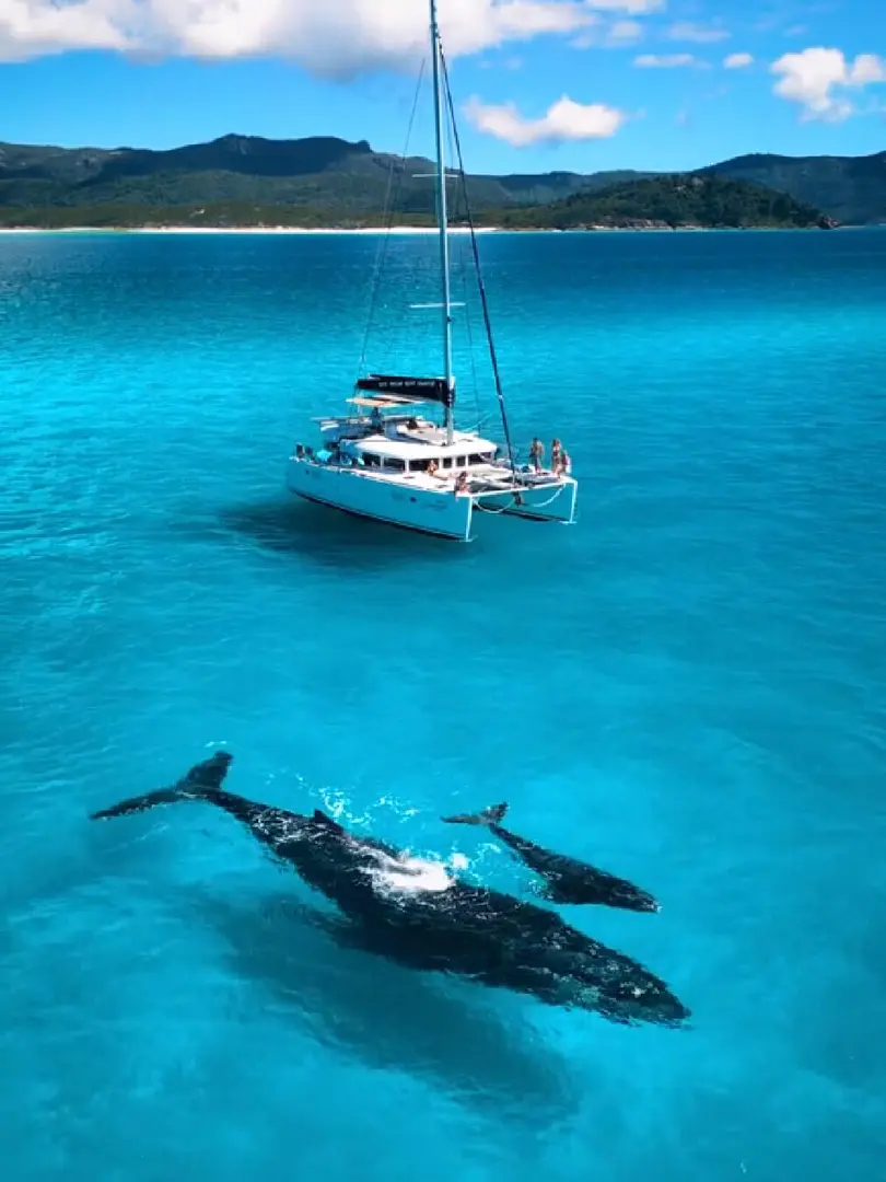 這麼近 那麼美——