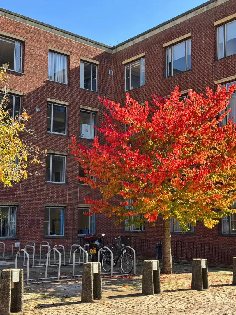 🇬🇧伯明罕大學的秋天好美呀