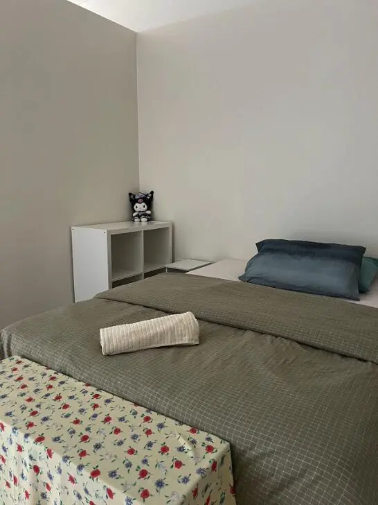 雪梨ultimo！步行600米到UTS！短租包bill！