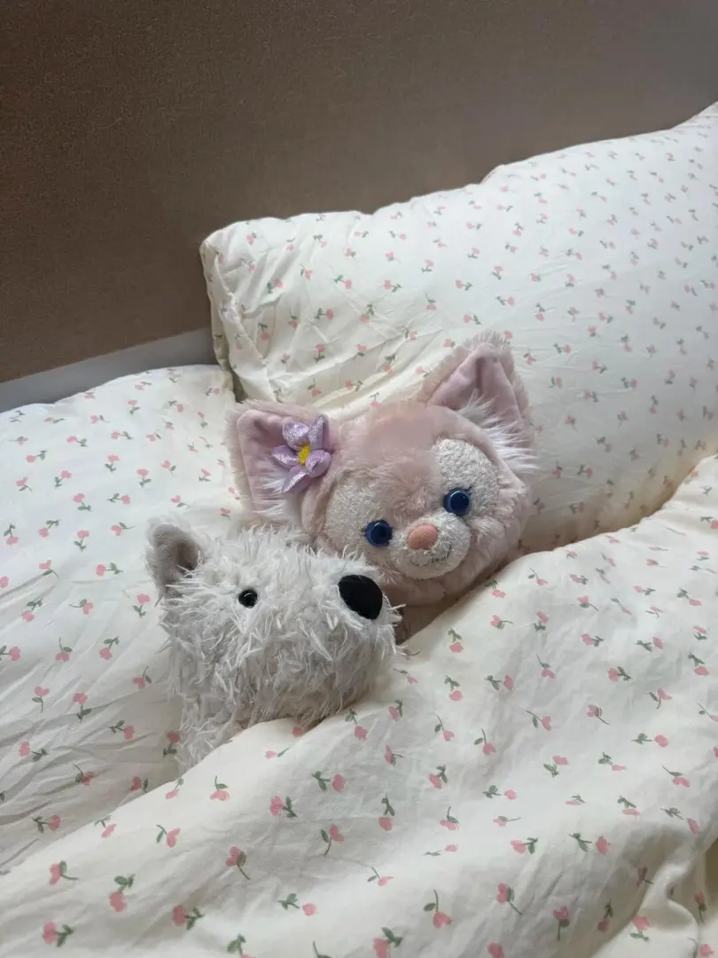 還得是雪梨網紅樓才能給到的體驗感！