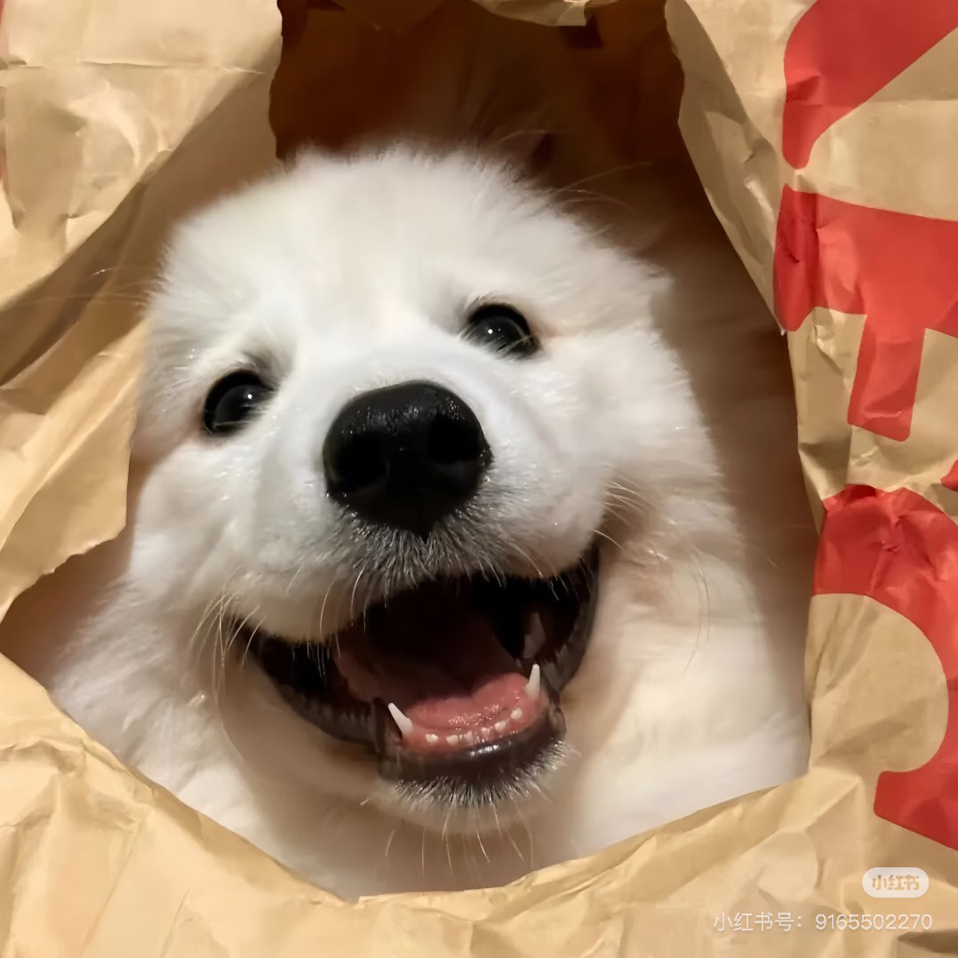 在布里斯托上學真的像天天逛樂園🎡