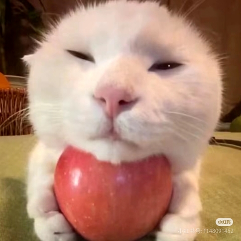 留子重生租房之這次我要選The switch👓