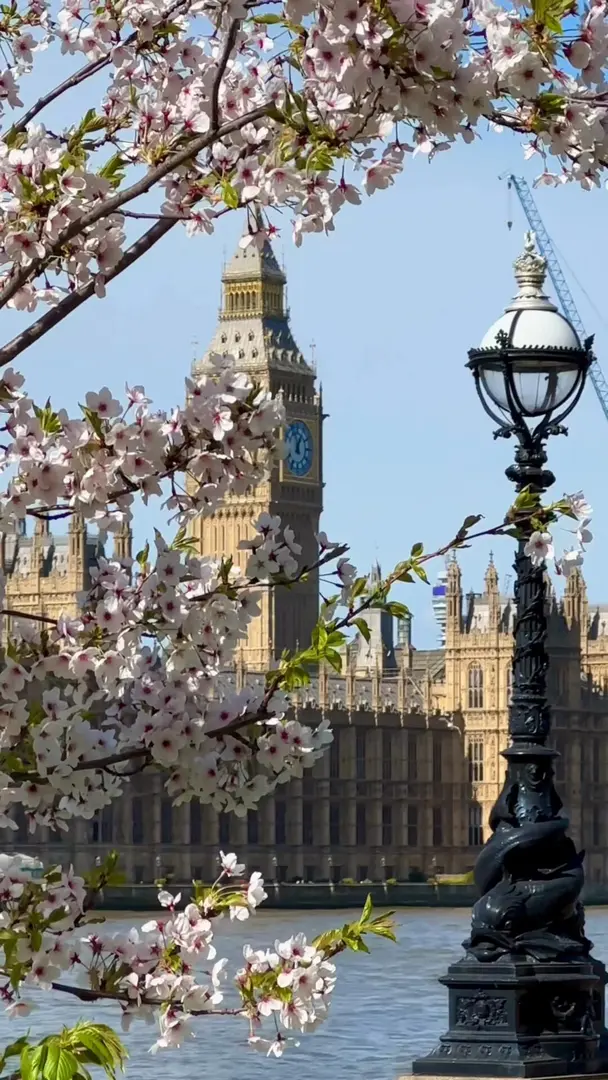 懷念倫敦的春天🌺～