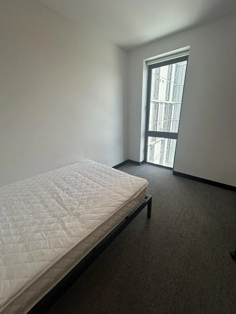 布里斯班UQ  studio找下一任租客