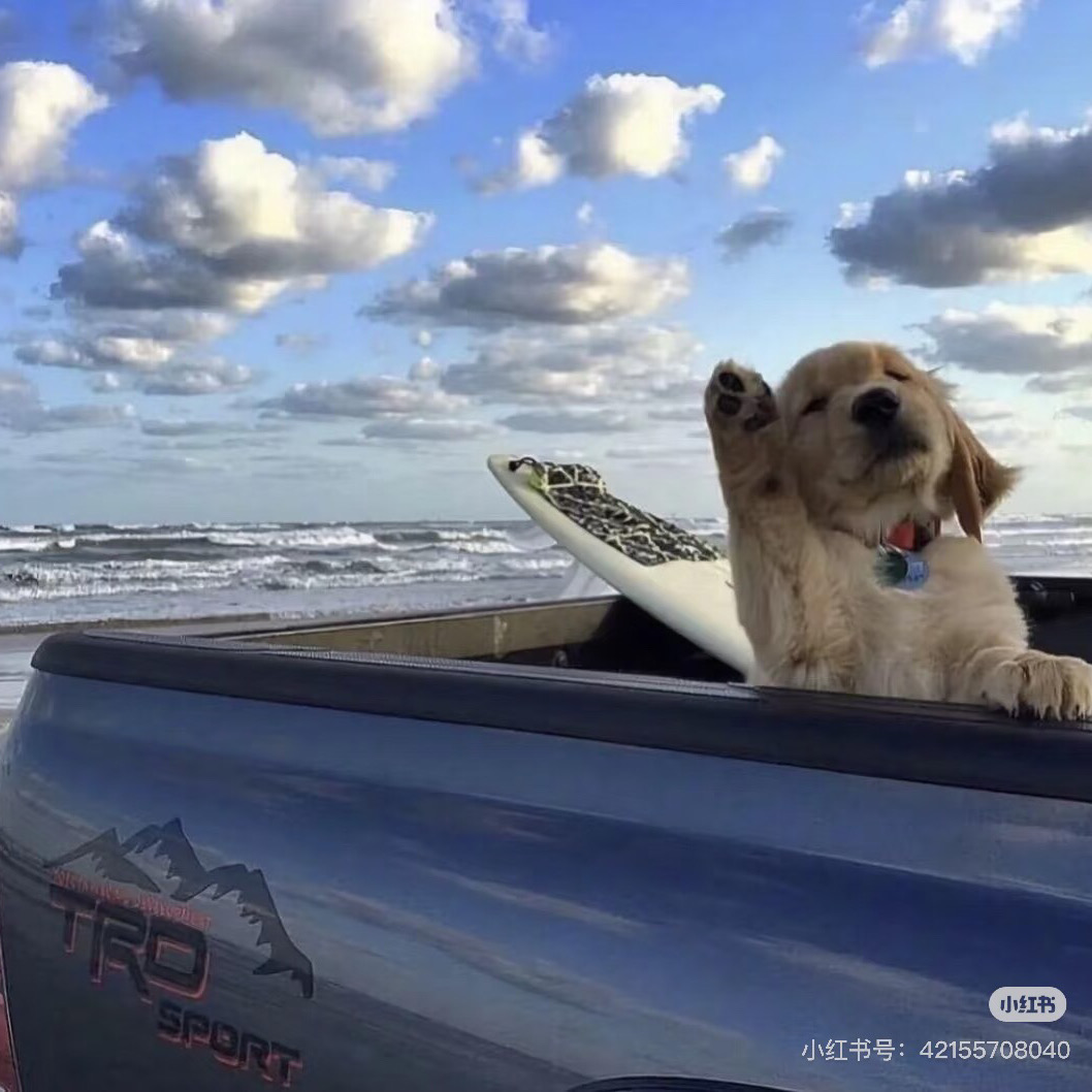 26fall英國留學乾貨分享