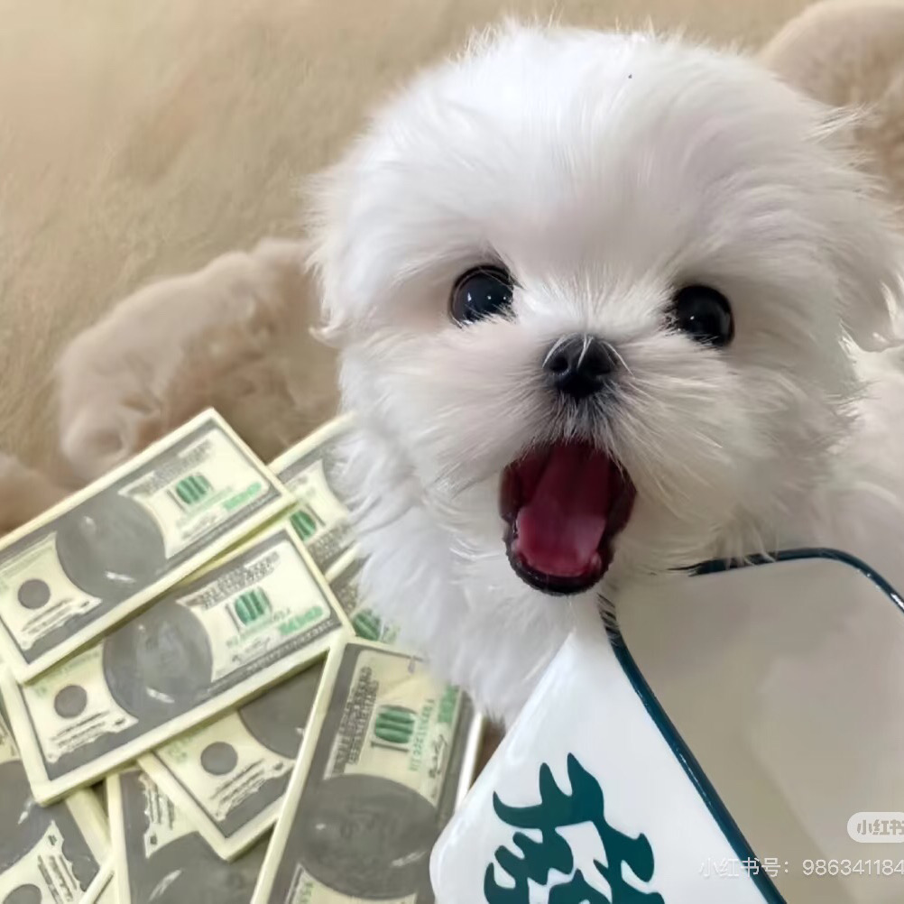 謝菲26fall的寶子在這裡集合啦