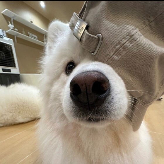 多不可思議的一晚🥹