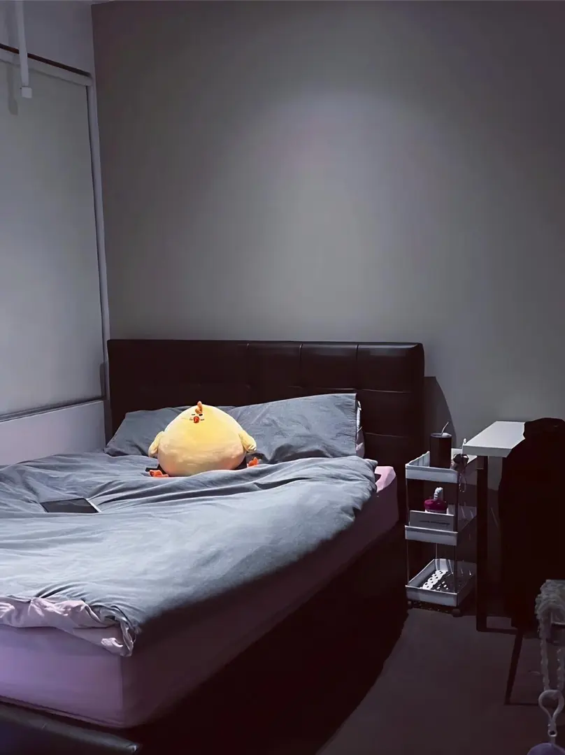 房東直租，急出雪梨住個包bill的1b