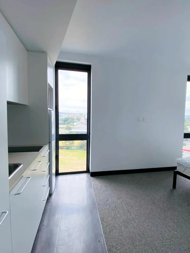 26s1布里斯班獨衛studio，好愛大窗戶😍～