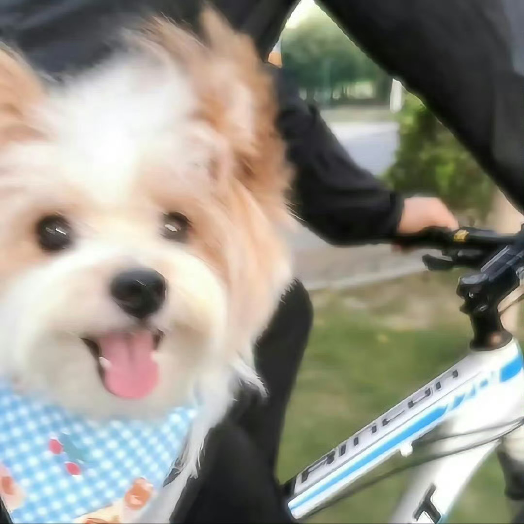 倫敦Kings Cross➗溫馨1b1b|帶家具~