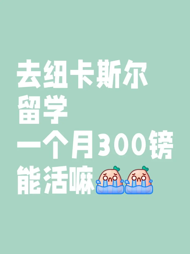 去紐卡斯爾一個月多少錢夠用啊!