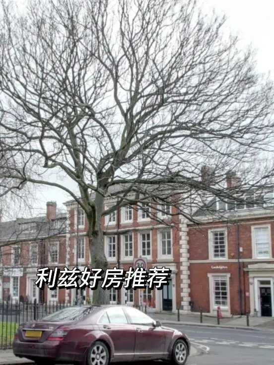 利茲好房推薦