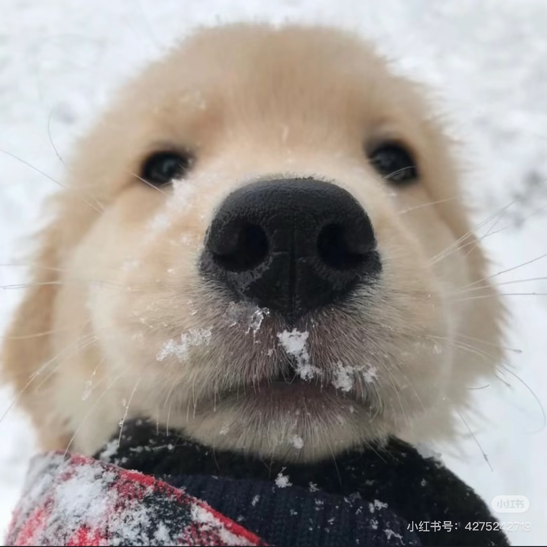 在倫敦住這1B1B,我宣布躺平自由!