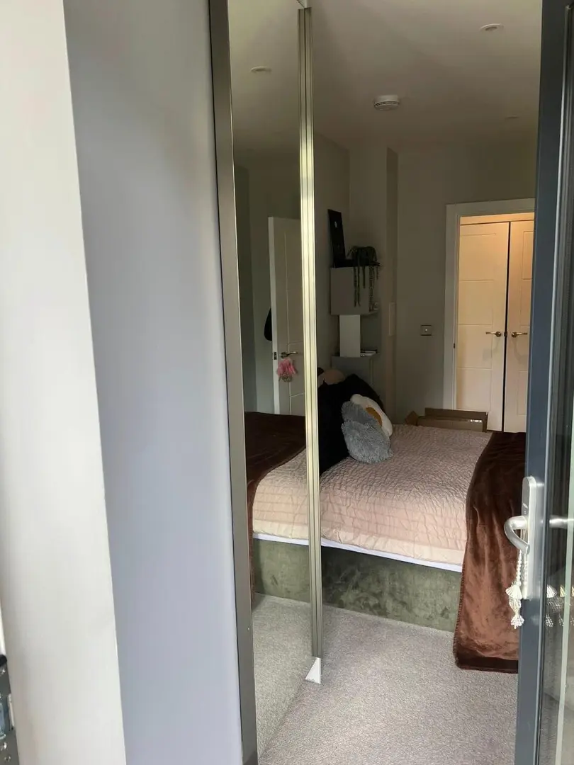 26S1速搶！近UNSW公寓骨折價轉租