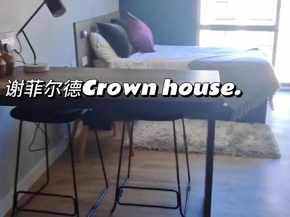 謝菲爾德比較經典的學生公寓