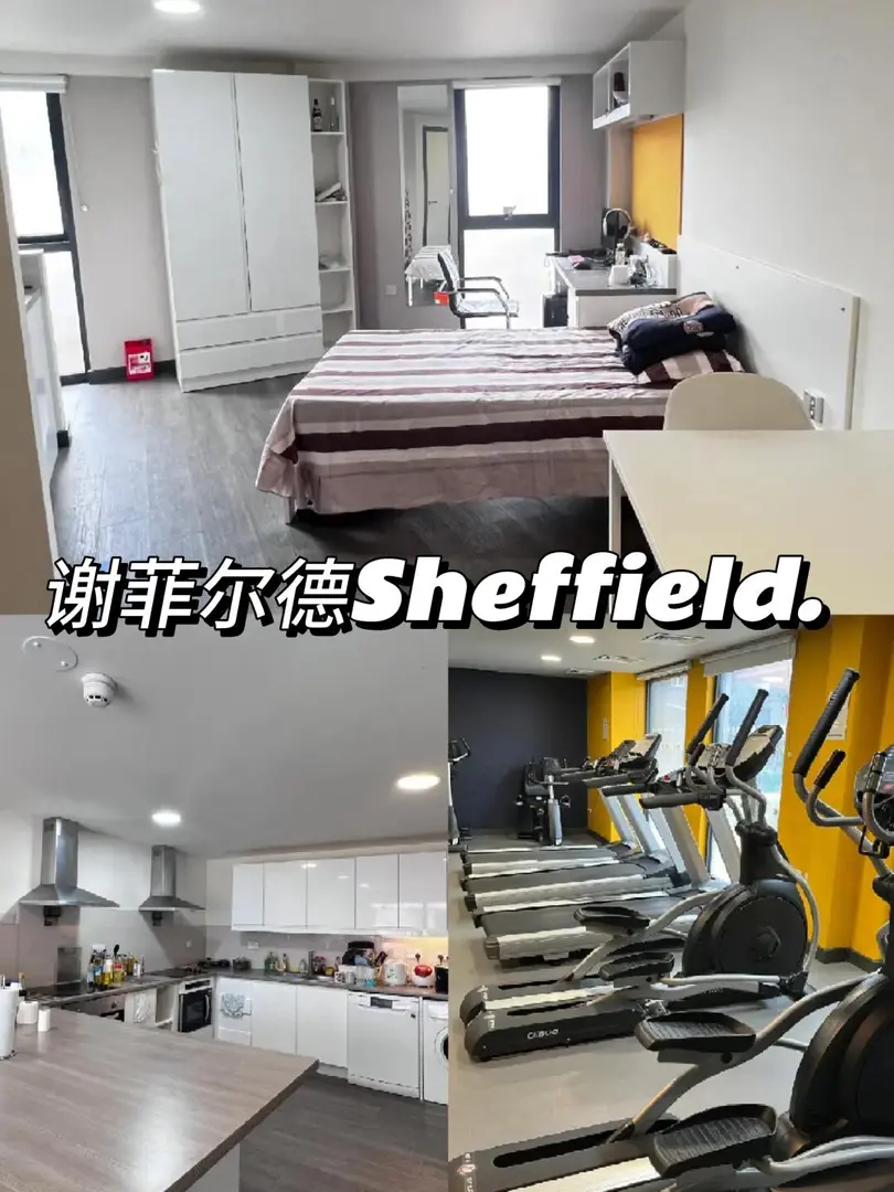 謝菲!有獨立洗衣機的公寓!