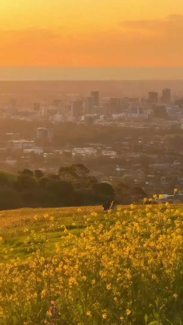 我想我不會再次去到阿德萊德～