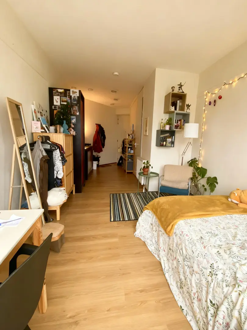 利物浦溫馨studio｜二 開頭還包水電網❗️