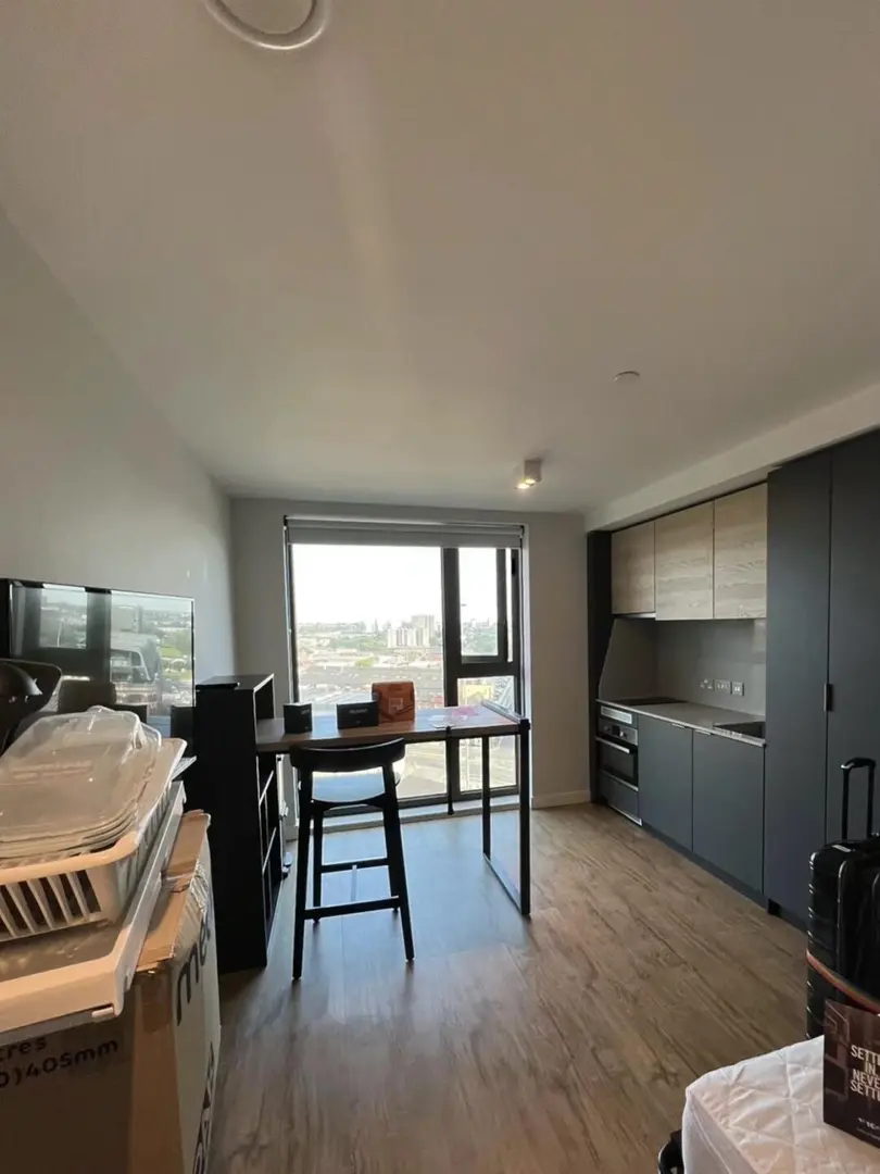 利茲大學附近studio！狗都不