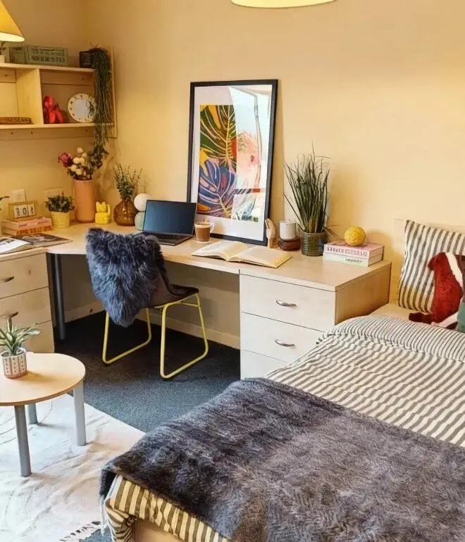 倫敦溫馨studio🏠 步行至UCL15分鐘🚶