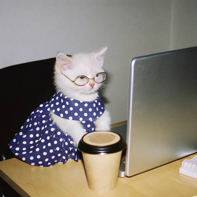 利物浦單人studio|學生公寓26fall