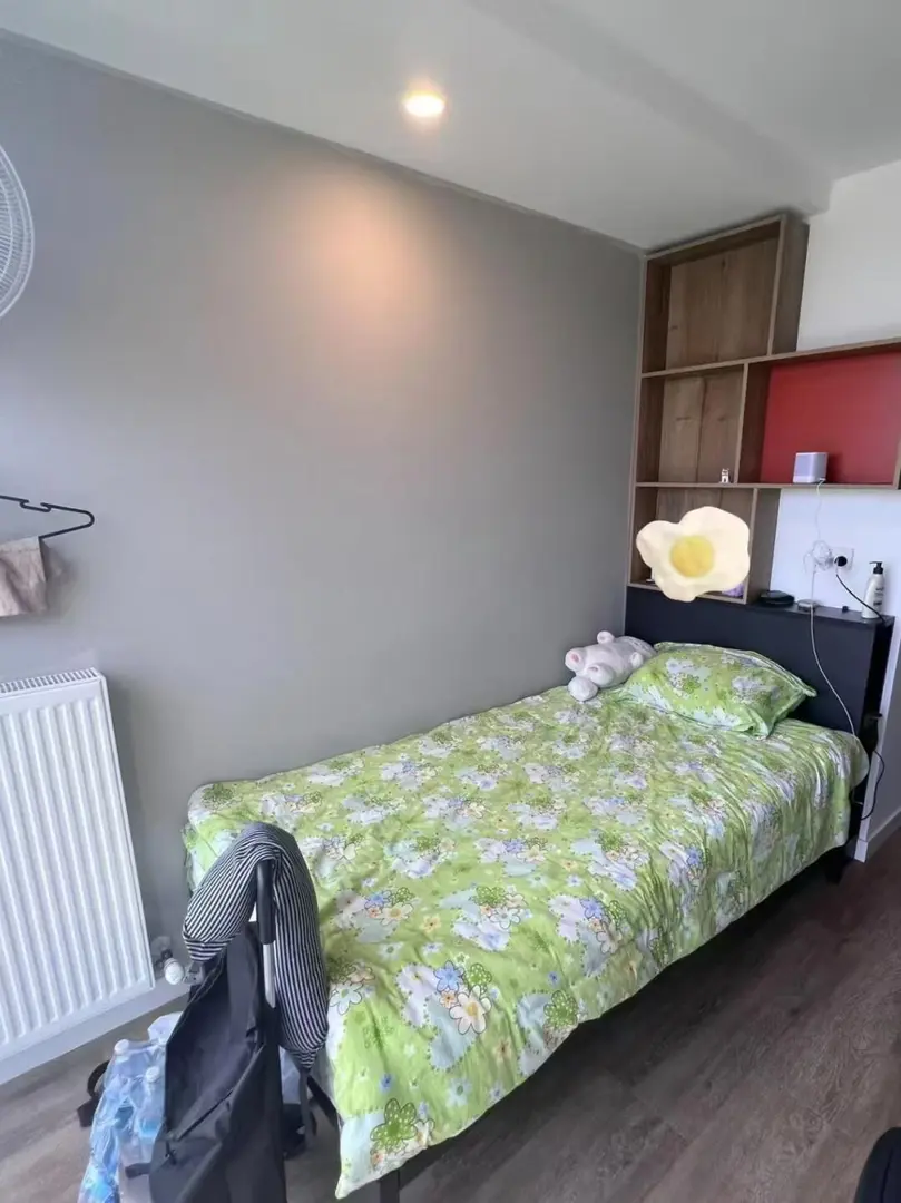 🇦🇺墨爾本落地窗studio找下一任租客