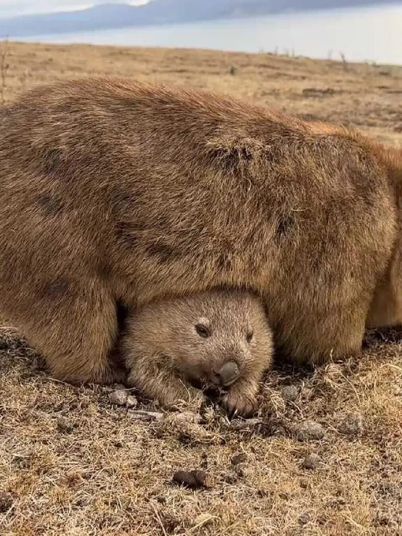 人生就是這樣吃喝拉睡~