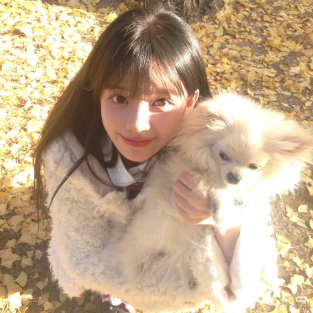 坎培拉2b2b 找女生室友搭子 !