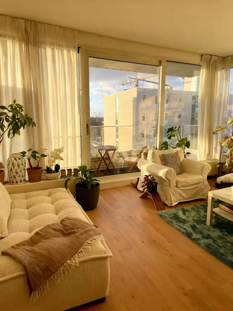 謝菲1b1b極限➗|包bills 長租可🔪