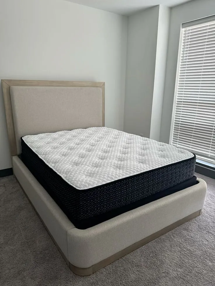 謝菲Cosmos 急➗1b1b｜包bills！