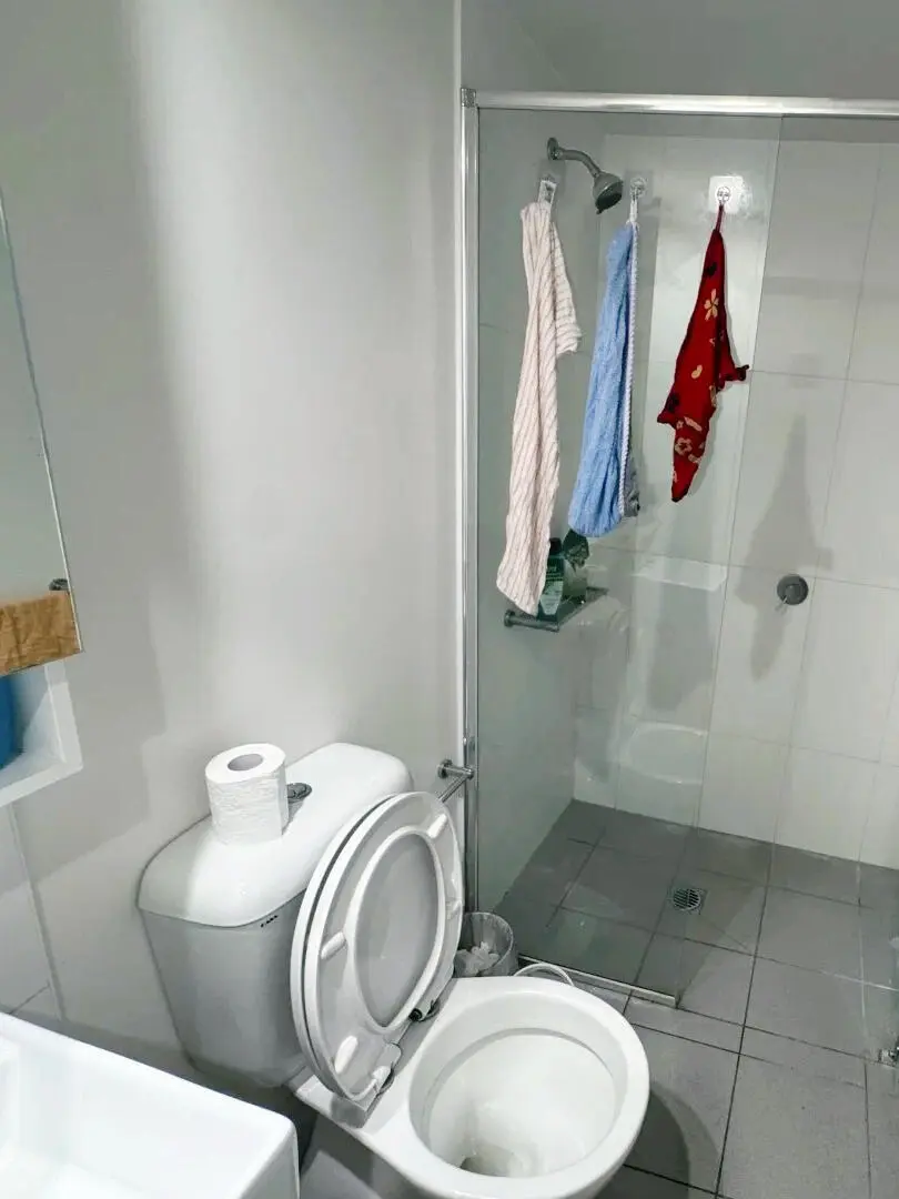 布里斯班Toowong急拼室友｜男女不限包bill