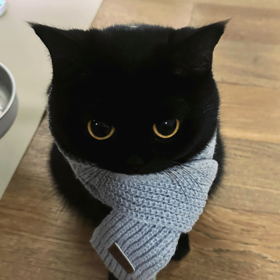 墨爾本大學找組織