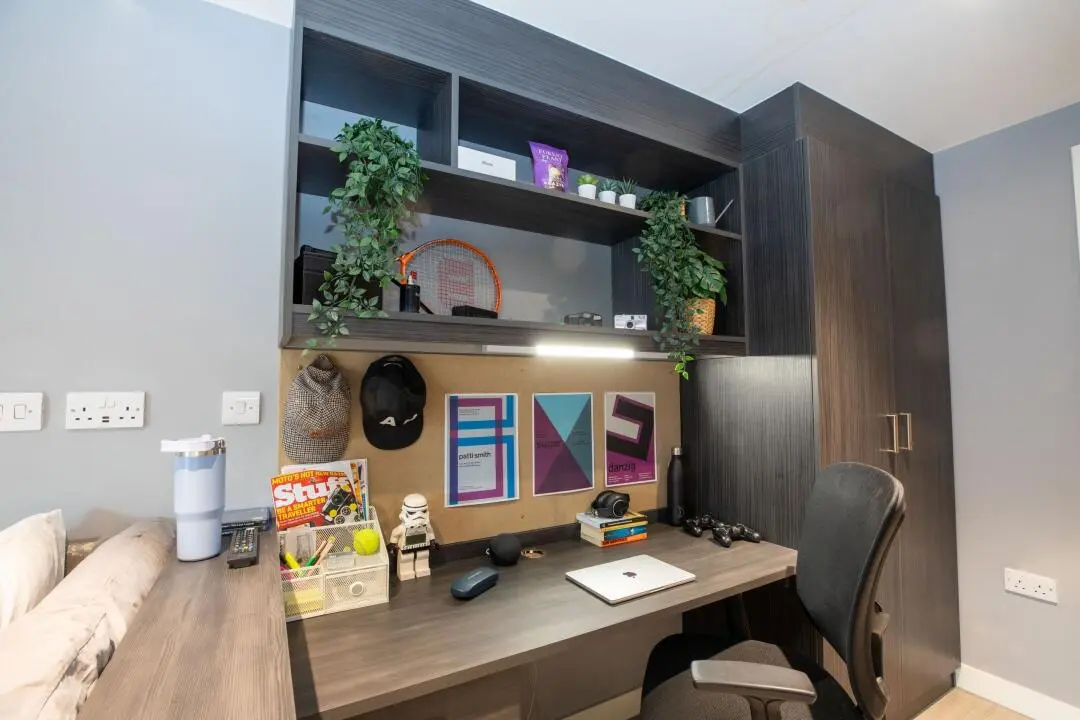 诺森比亚大学首选