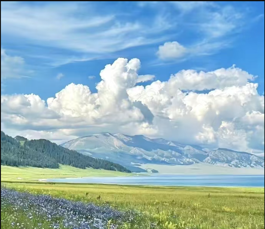 愛丁堡1b1b轉租｜包bill 可小🔪