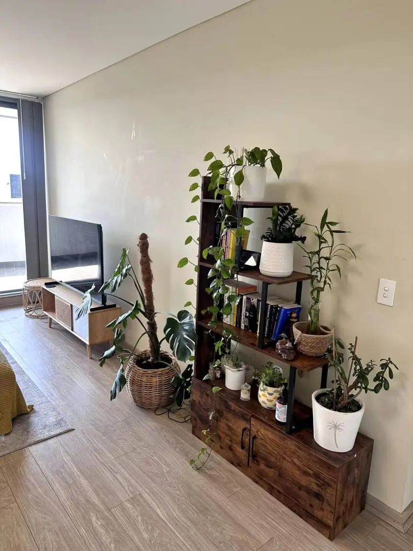 雪梨Waterloo急轉自住2b，帶家具可短租！