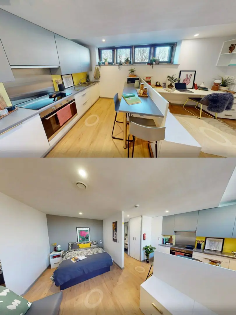 謝菲爾德26fall Dream House