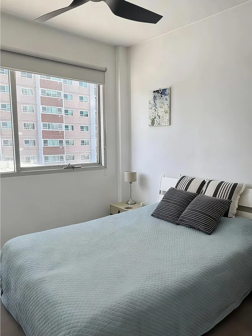 墨尔本city的1b1b阳光房找新主人｜带家具